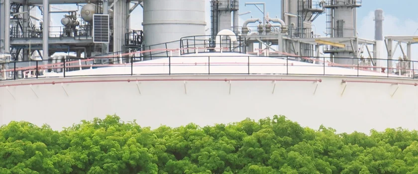 sustainable chemical plant